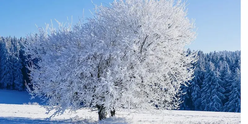 Cold weather effect Skincare