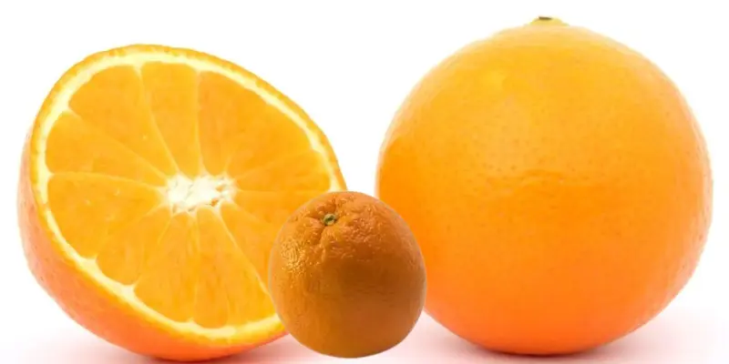 Orange Fruit for skincare